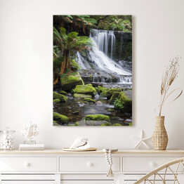 Obraz na płótnie Wodospad Russell, Tasmania, Australia
