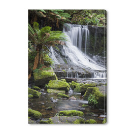 Obraz na płótnie Wodospad Russell, Tasmania, Australia