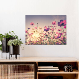 Plakat samoprzylepny Polne kwiaty na dużej łące
