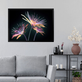 Obraz w ramie Rozłożyste kwiaty w neonowych barwach na czarnym tle