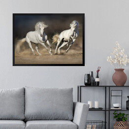 Obraz w ramie Para jasnych koni w ruchu na pustyni na ciemnym tle