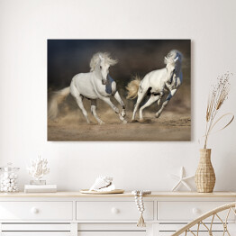 Obraz na płótnie Para jasnych koni w ruchu na pustyni na ciemnym tle