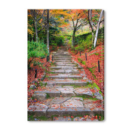 Obraz na płótnie Schody jesienią, Japonia