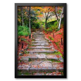 Obraz w ramie Schody jesienią, Japonia