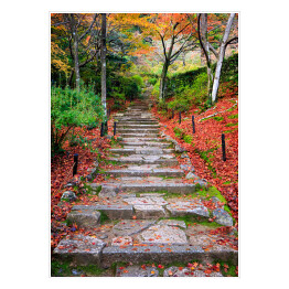 Plakat samoprzylepny Schody jesienią, Japonia