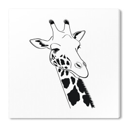 Głowa żyrafy - czarno biała ilustracja