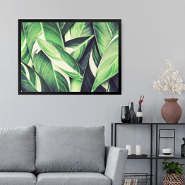 Obraz w ramie Tropikalne liście w świeżym odcieniu zieleni