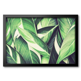 Obraz w ramie Tropikalne liście w świeżym odcieniu zieleni