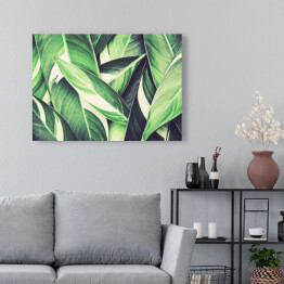 Obraz na płótnie Tropikalne liście w świeżym odcieniu zieleni