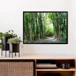 Obraz w ramie Las bambusowy