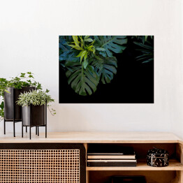 Plakat samoprzylepny Liście tropikalnej paproci na czarnym tle
