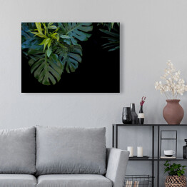 Obraz na płótnie Liście tropikalnej paproci na czarnym tle