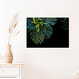 Plakat samoprzylepny Liście tropikalnej paproci na czarnym tle