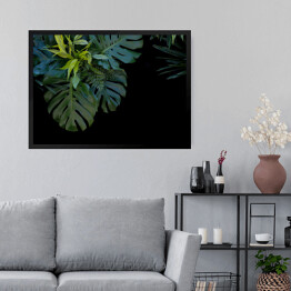 Obraz w ramie Liście tropikalnej paproci na czarnym tle