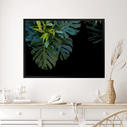 Obraz w ramie Liście tropikalnej paproci na czarnym tle