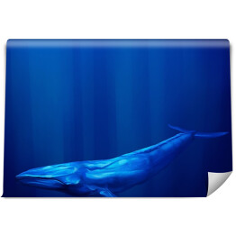 Błękitny wieloryb pod wodą z strumieniami światła słonecznego
