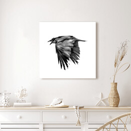 Obraz na płótnie Czarna wrona w locie