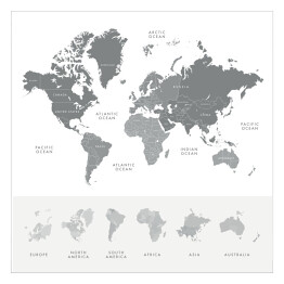Plakat samoprzylepny Państwa na mapie świata w odcieniach szarości