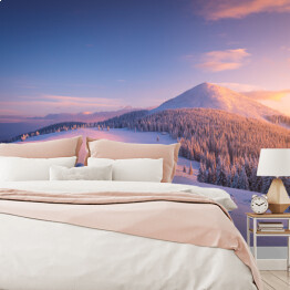 Fototapeta samoprzylepna Zimowy krajobraz ze szczytem górskim