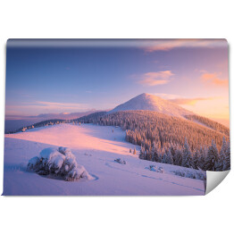 Fototapeta Zimowy krajobraz ze szczytem górskim