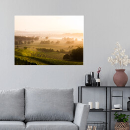Plakat Wschód słońca nad winnicami Doliny Hunter Valley