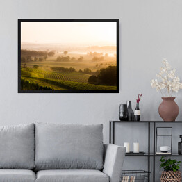 Obraz w ramie Wschód słońca nad winnicami Doliny Hunter Valley