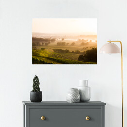 Plakat Wschód słońca nad winnicami Doliny Hunter Valley