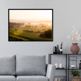 Plakat w ramie Wschód słońca nad winnicami Doliny Hunter Valley