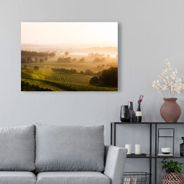 Obraz na płótnie Wschód słońca nad winnicami Doliny Hunter Valley