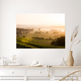 Plakat samoprzylepny Wschód słońca nad winnicami Doliny Hunter Valley
