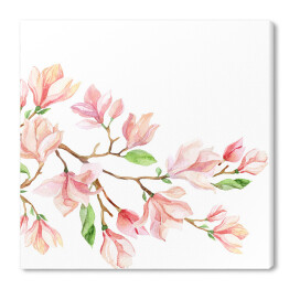 Obraz na płótnie Akwarela w jasnych barwach - magnolia 