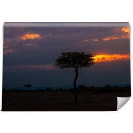 Fototapeta Charakterystyczny widok o zmierzchu, Afryka