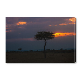 Obraz na płótnie Charakterystyczny widok o zmierzchu, Afryka
