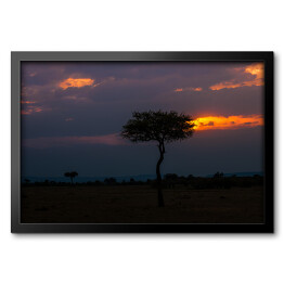 Obraz w ramie Charakterystyczny widok o zmierzchu, Afryka