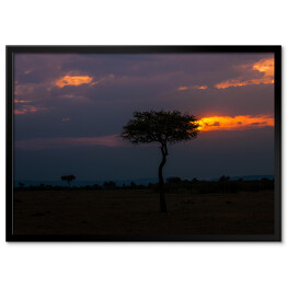 Plakat w ramie Charakterystyczny widok o zmierzchu, Afryka