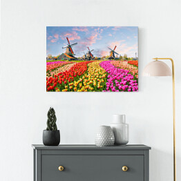 Obraz na płótnie Pole z wiatrakami i tulipanami w Holandii