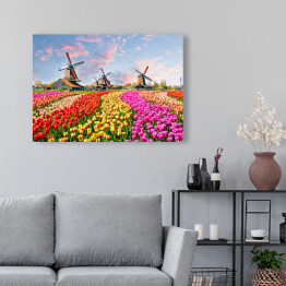 Pole z wiatrakami i tulipanami w Holandii
