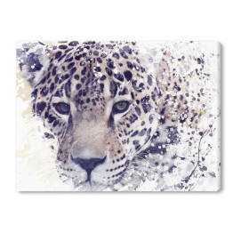Akwarela - Leopard