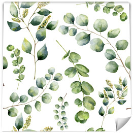 Tapeta winylowa zmywalna w rolce Akwarelowy wzór z eukaliptusa na białym tle