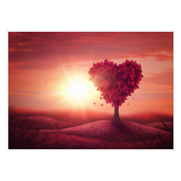 Drzewo miłości na tle zachodu słońca