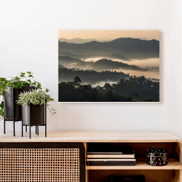 Obraz na płótnie Las we mgle na górzystym terenie, Tajlandia