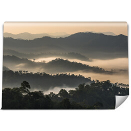Fototapeta samoprzylepna Las we mgle na górzystym terenie, Tajlandia