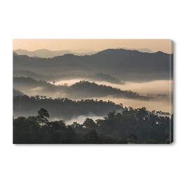 Obraz na płótnie Las we mgle na górzystym terenie, Tajlandia