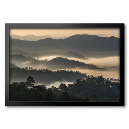 Obraz w ramie Las we mgle na górzystym terenie, Tajlandia