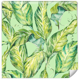 Tapeta samoprzylepna w rolce Naturalne liście egzotyczne na jasnym zielonym tle - akwarela 