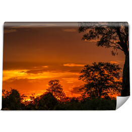 Fototapeta Wspaniały zachód słońca nad sawanną, Republika Południowej Afryki