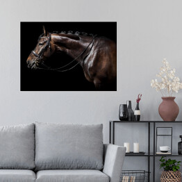 Plakat Brązowy koń z uzdą