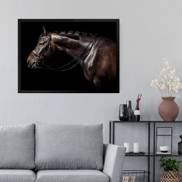 Obraz w ramie Brązowy koń z uzdą