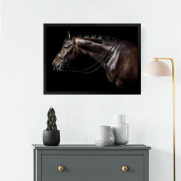 Obraz w ramie Brązowy koń z uzdą