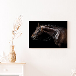 Obraz na płótnie Brązowy koń z uzdą
